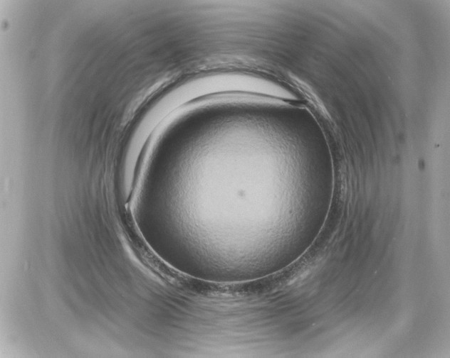 X0000087520538200705112009