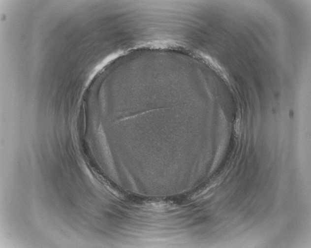 X0000087520540200705112009