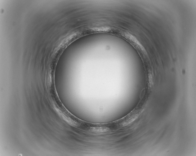 X0000087520541200705112009