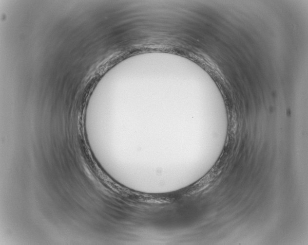 X0000087520542200705112009