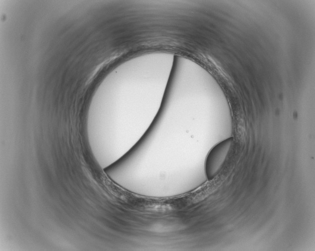 X0000087520543200705112009