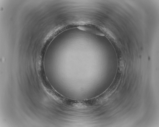 X0000087520544200705112009