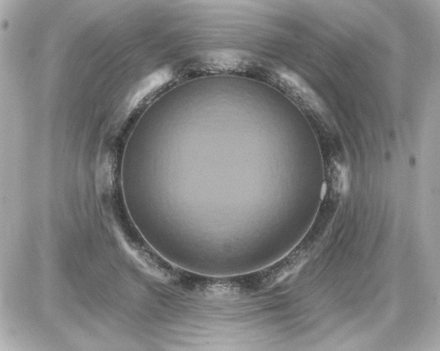 X0000087520546200705112009