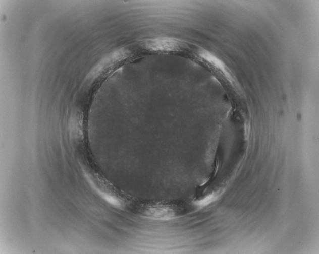 X0000087520547200705112009