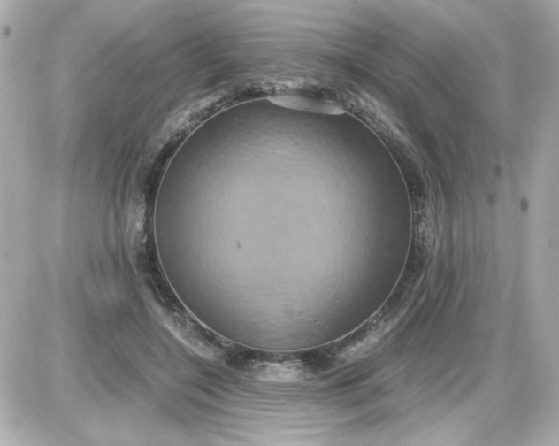 X0000087520548200705112009