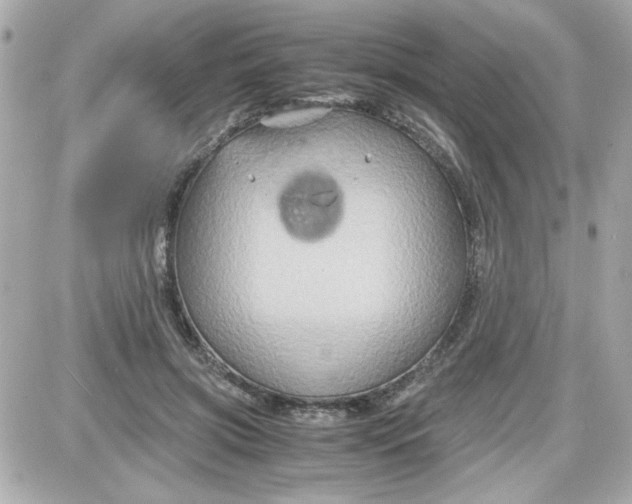 X0000087520549200705112009