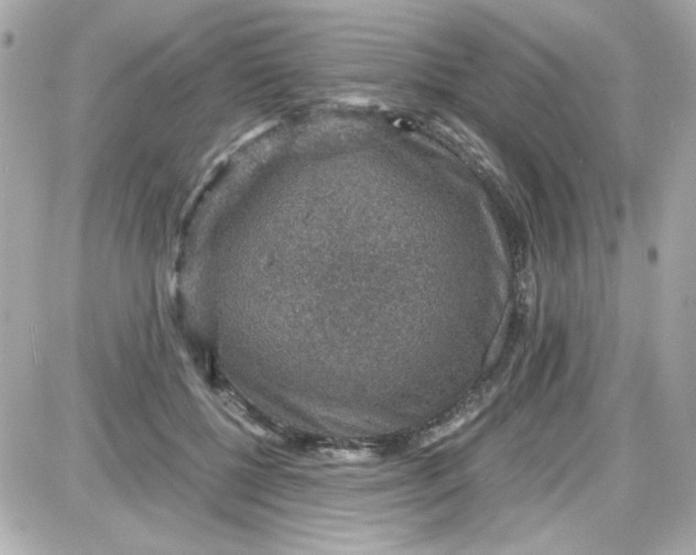 X0000087520552200705112009