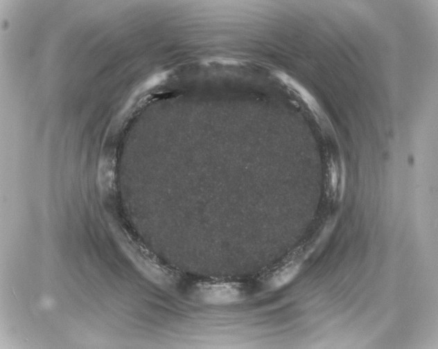 X0000087520553200705112009