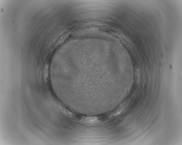 X0000087520554200705112009