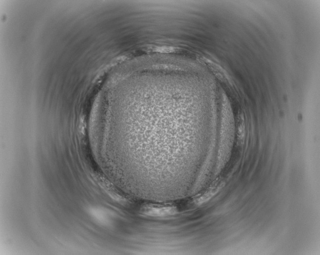 X0000087520555200705112009