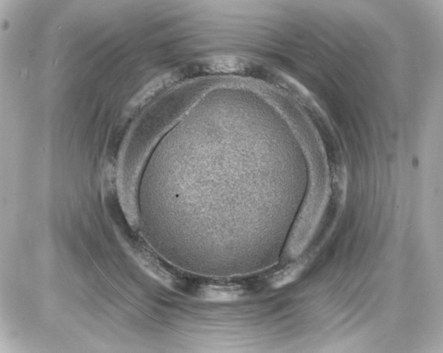 X0000087520556200705112009