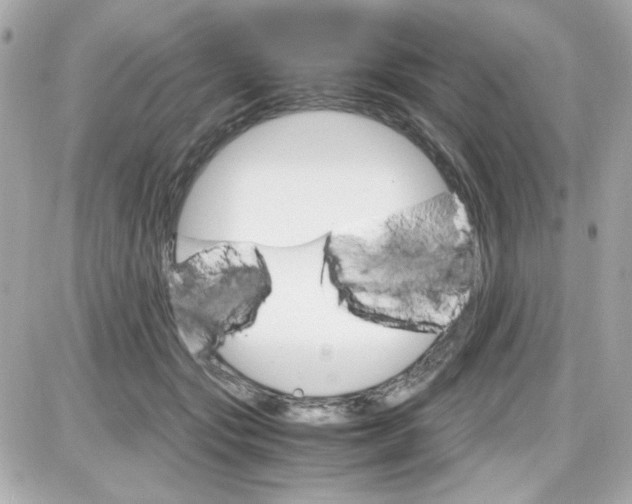 X0000087520557200705112009