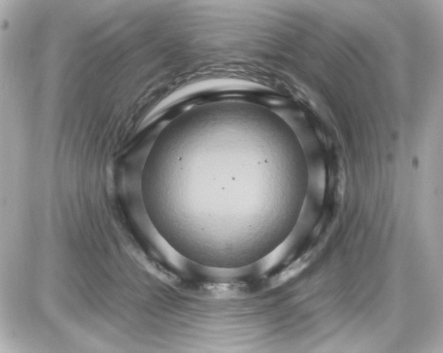 X0000087520558200705112009