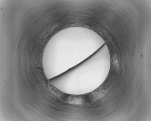 X0000087520559200705112009