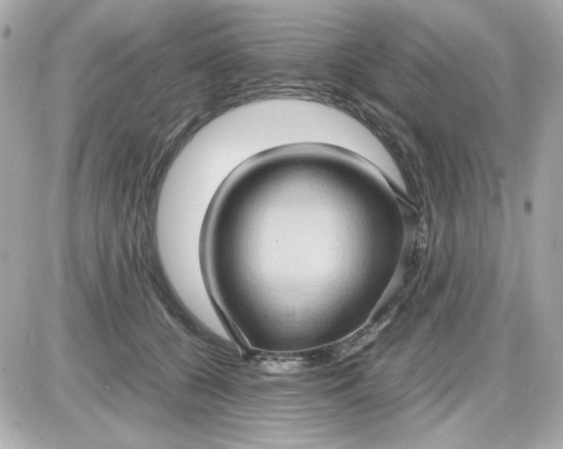 X0000087520560200705112009