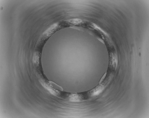 X0000087520562200705112009