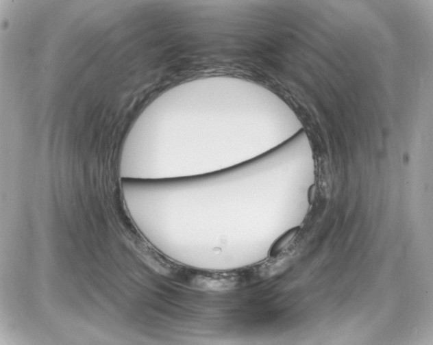 X0000087520563200705112009