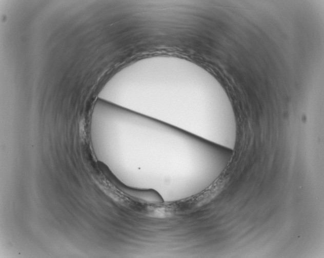 X0000087520564200705112009