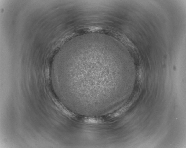 X0000087520565200705112009