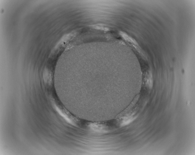 X0000087520568200705112009