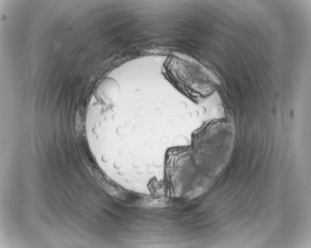 X0000087520569200705112009