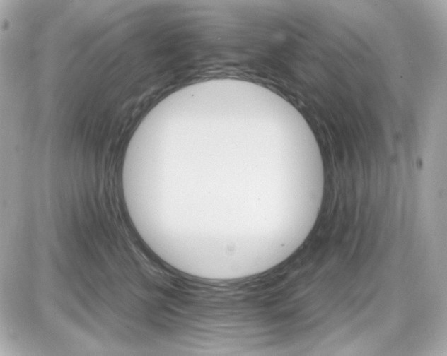 X0000087520570200705112009