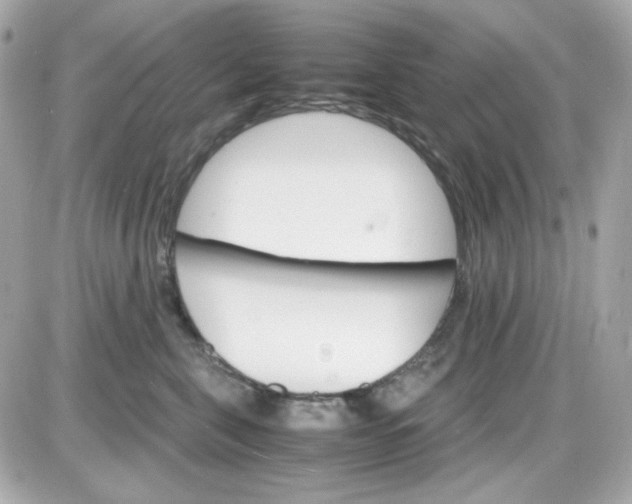 X0000087520571200705112009