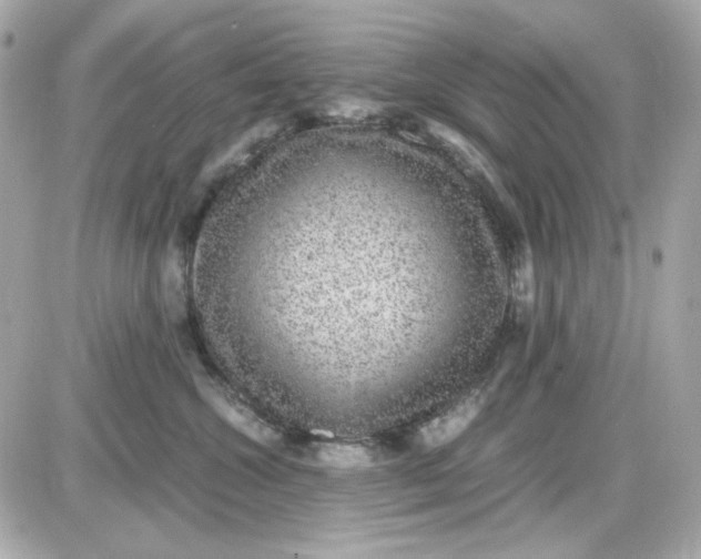 X0000087520572200705112009