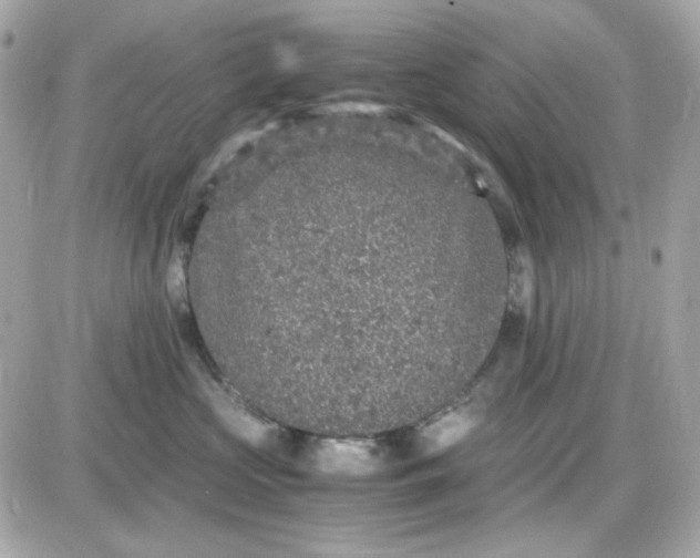 X0000087520573200705112009