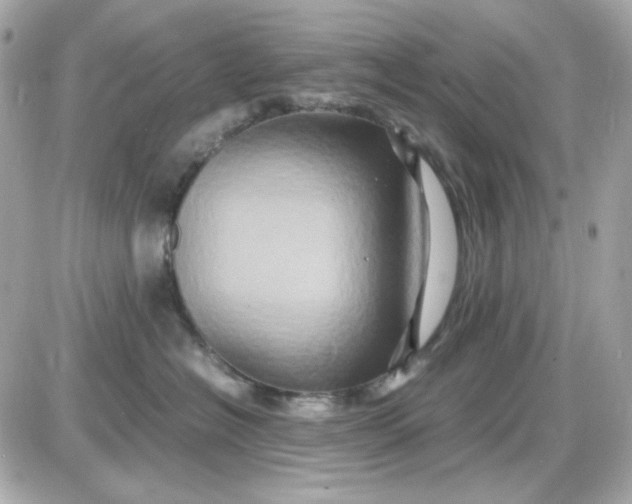 X0000087520574200705112009