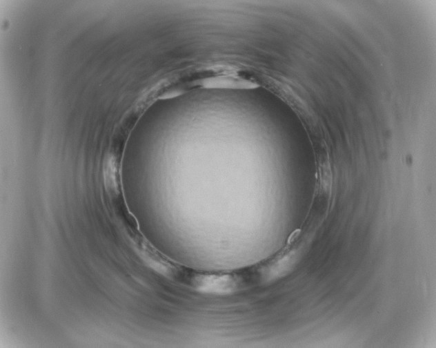 X0000087520575200705112009