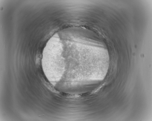 X0000087520576200705112009