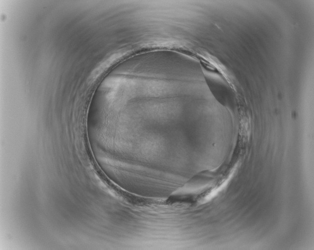 X0000087520577200705112008