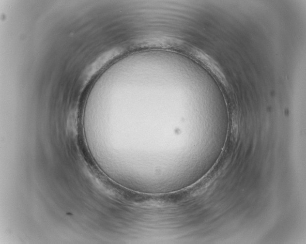 X0000087520578200705112008