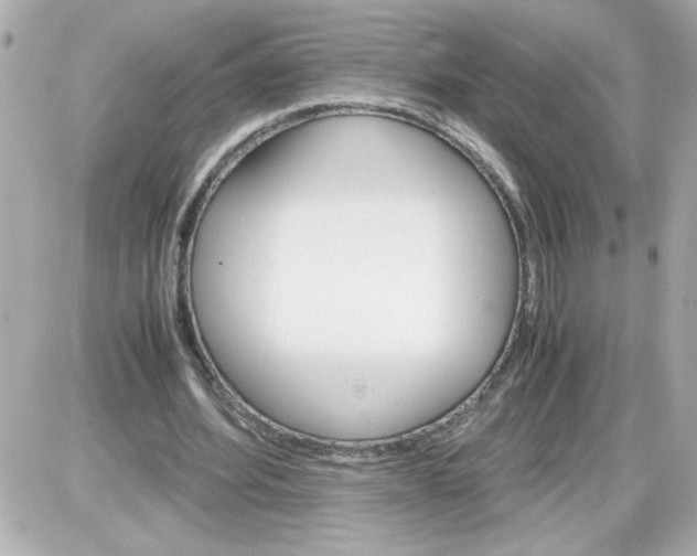 X0000087520580200705112008