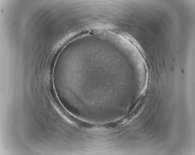 X0000087520581200705112008