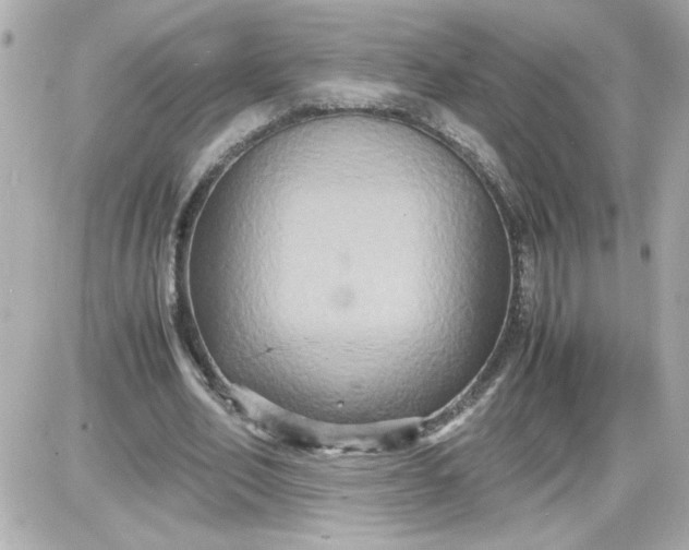 X0000087520582200705112008