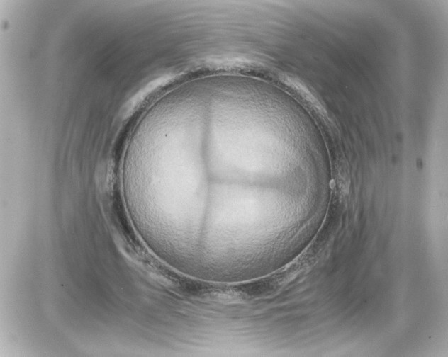 X0000087520583200705112008