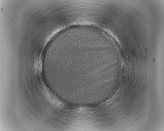 X0000087520584200705112008