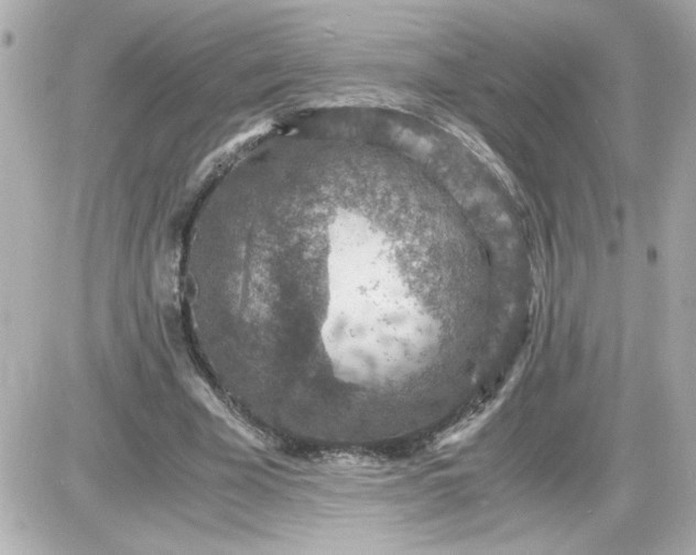 X0000087520585200705112008