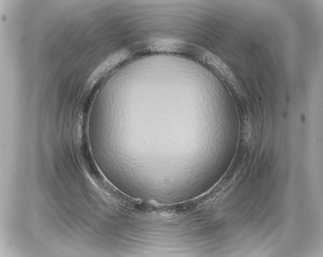 X0000087520586200705112008