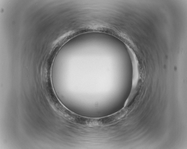 X0000087520587200705112008