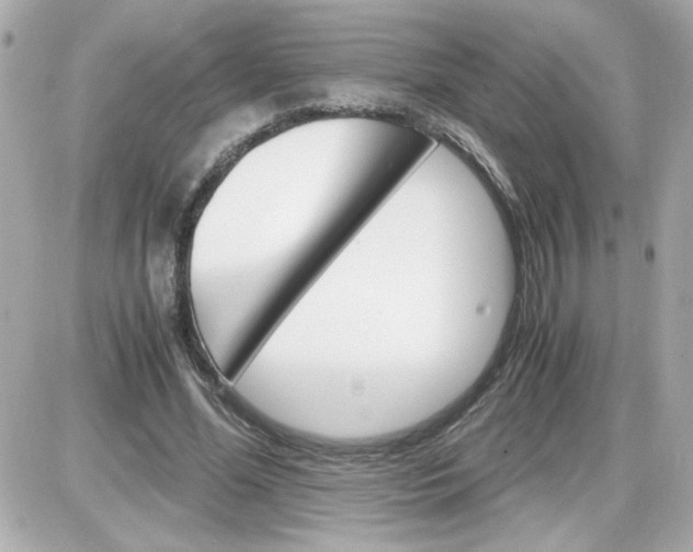 X0000087520588200705112008