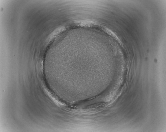 X0000087520589200705112008