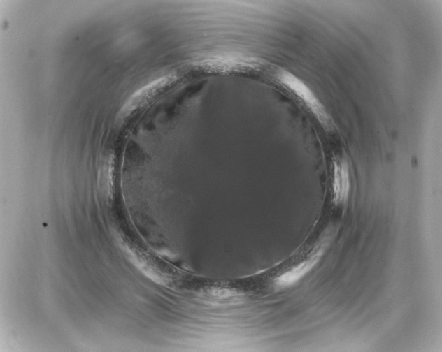 X0000087520590200705112008