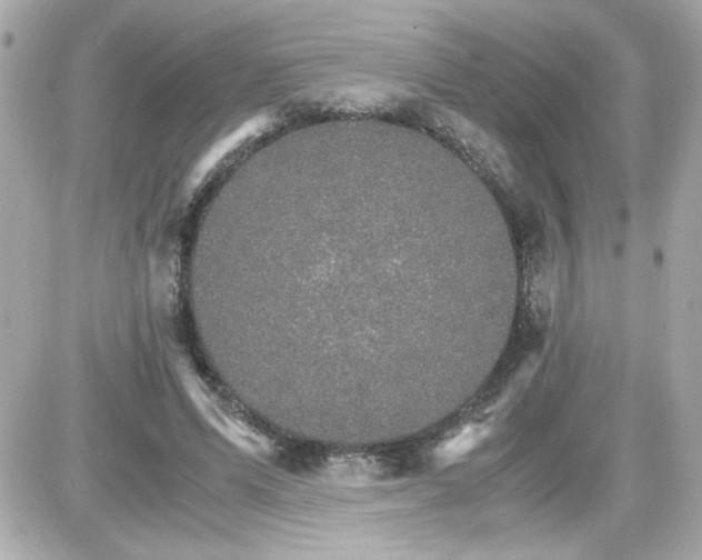 X0000087520591200705112008