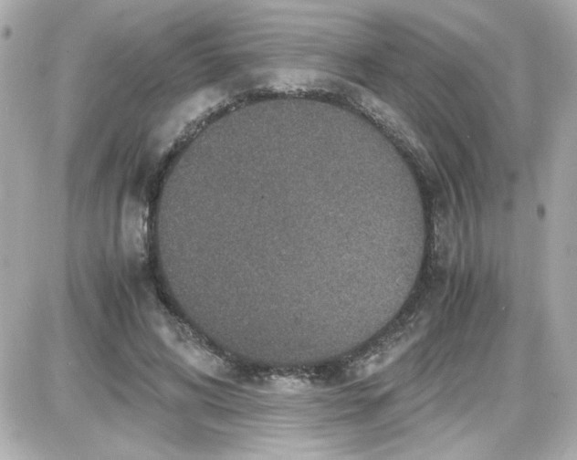 X0000087520592200705112008