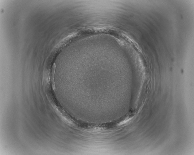 X0000087520593200705112008