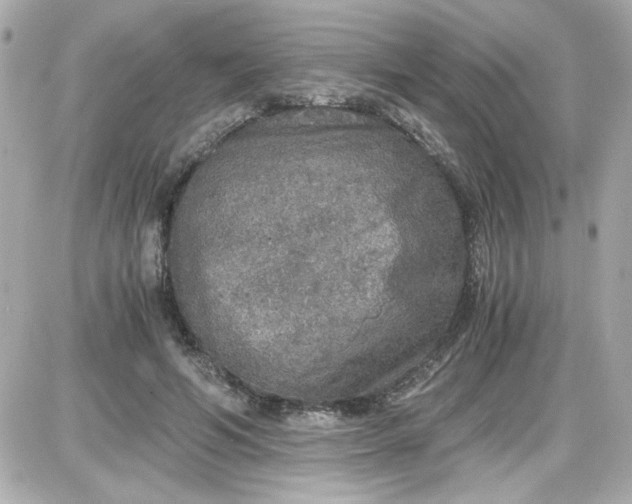 X0000087520594200705112008