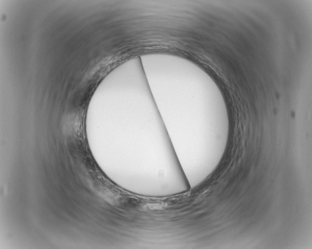 X0000087520595200705112008